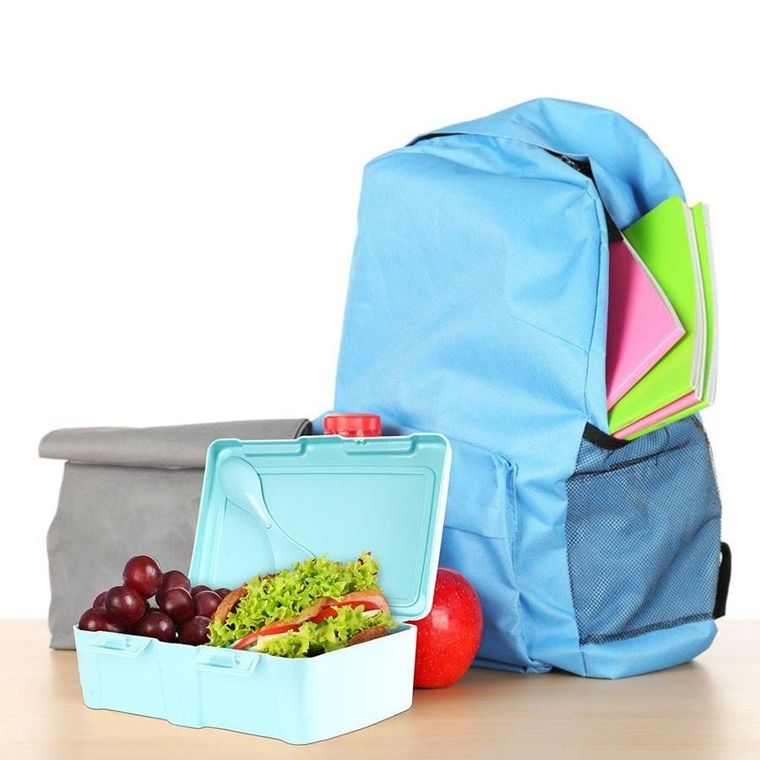 Orion, lunchbox z przegrodą i sztućcami, kwiaty, 1 l