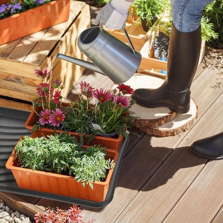 Orion, mata na buty, 77,5-38 cm