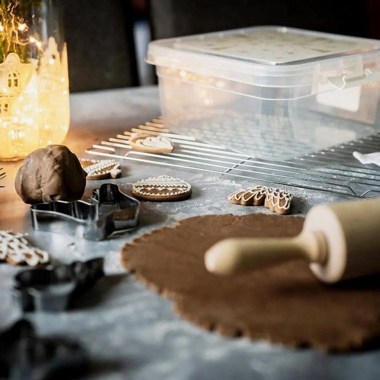 Orion, Płatek, pojemnik na żywność z pokrywką, 4,5l