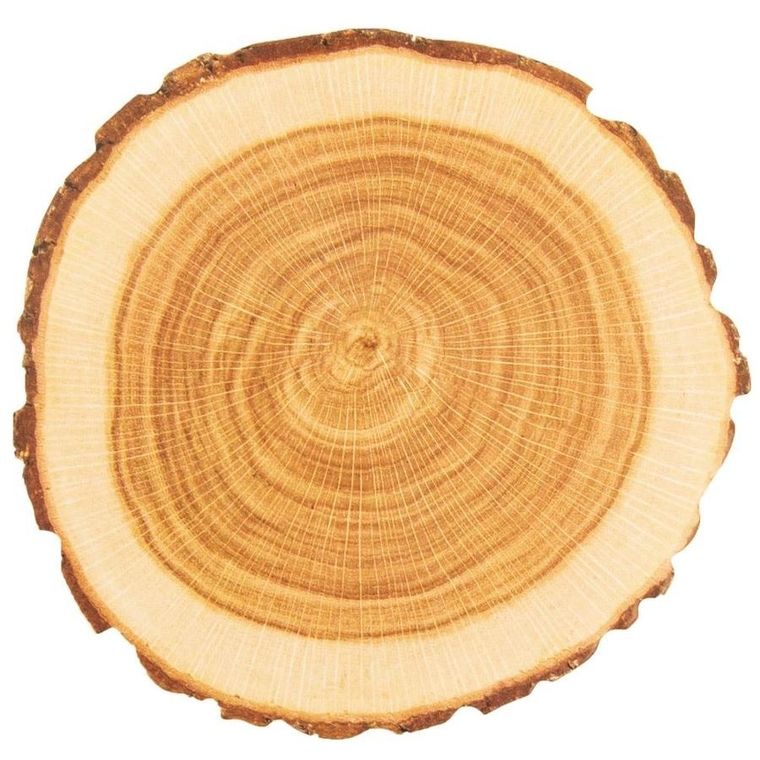 Orion, podstawki pod kubek, 10 cm, 10 szt.