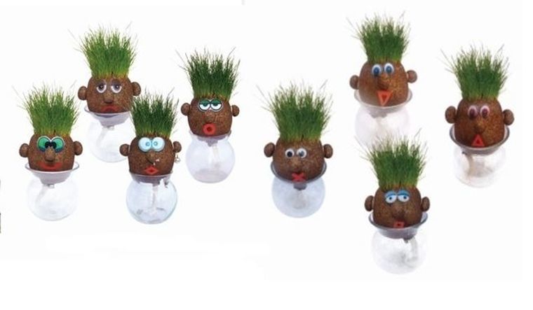 Pan Trawiastogłowy, zabawka edukacyjna