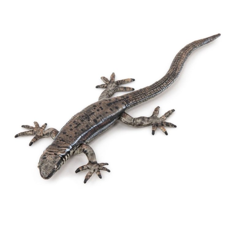 Papo, Jaszczurka żyworodna, figurka