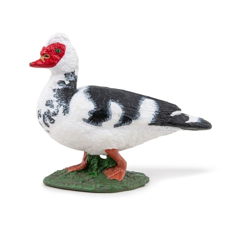 Papo, Kaczka Piżmówka, figurka