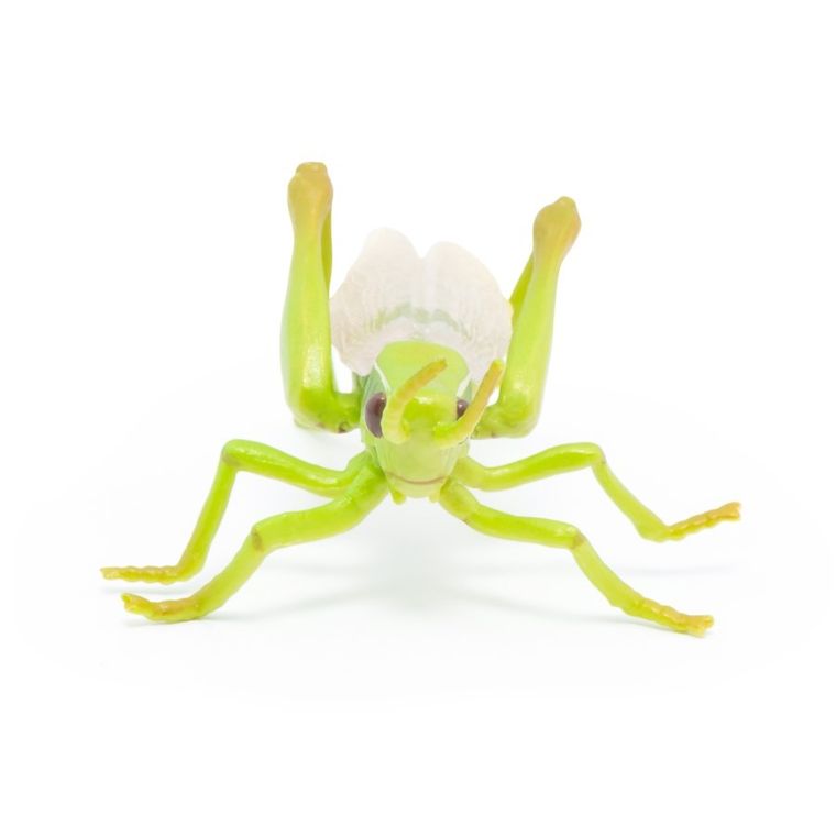 Papo, Konik polny, figurka