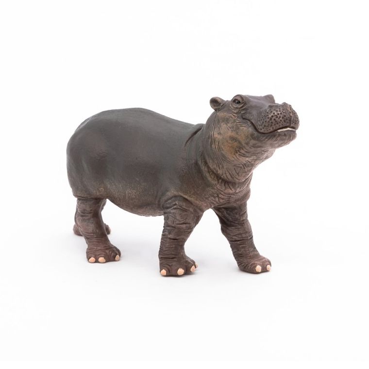 Papo, Młody hipopotam, figurka kolekcjonerska