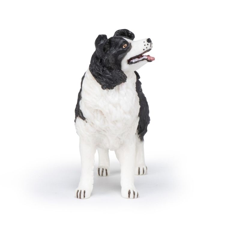 Papo, Owczarek szkocki border collie, figurka kolekcjonerska