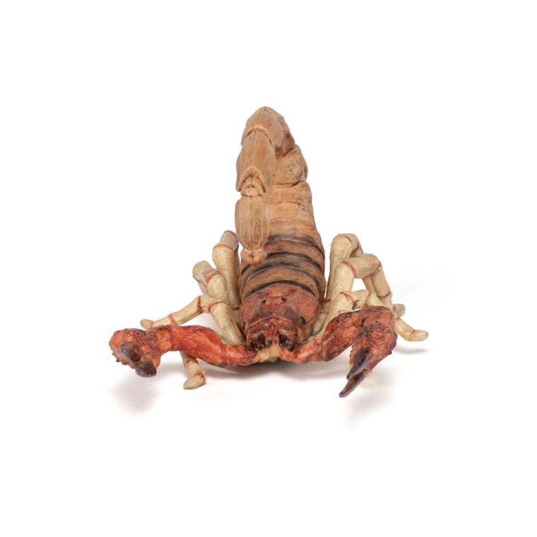 Papo, Skorpion, figurka