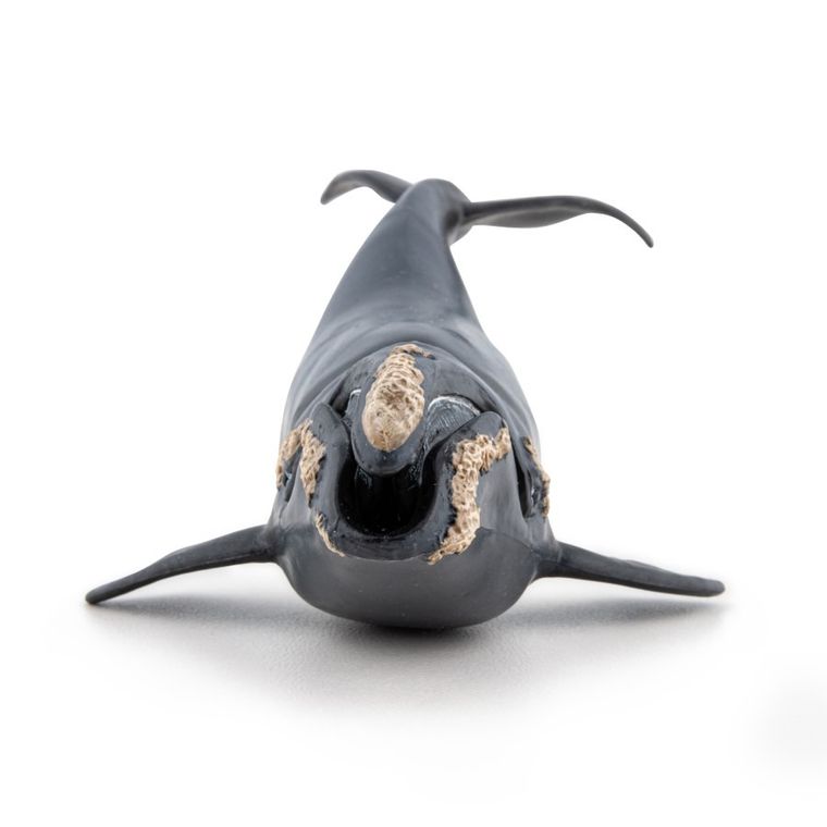 Papo, Waleń, figurka