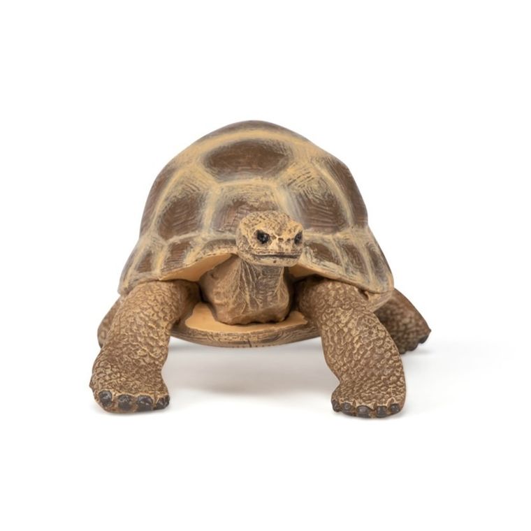 Papo, Żółw Hermana, figurka