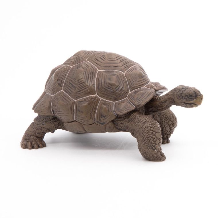 Papo, Żółw słoniowy, figurka kolekcjonerska