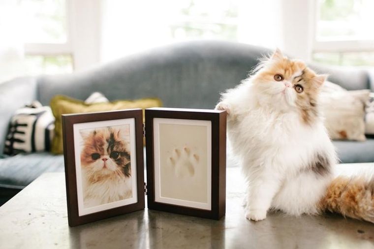 Pearhead, ramka z odciskiem łapy pupila, stojąca