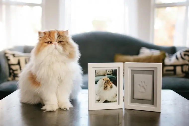 Pearhead, ramka z odciskiem łapy pupila, stojąca