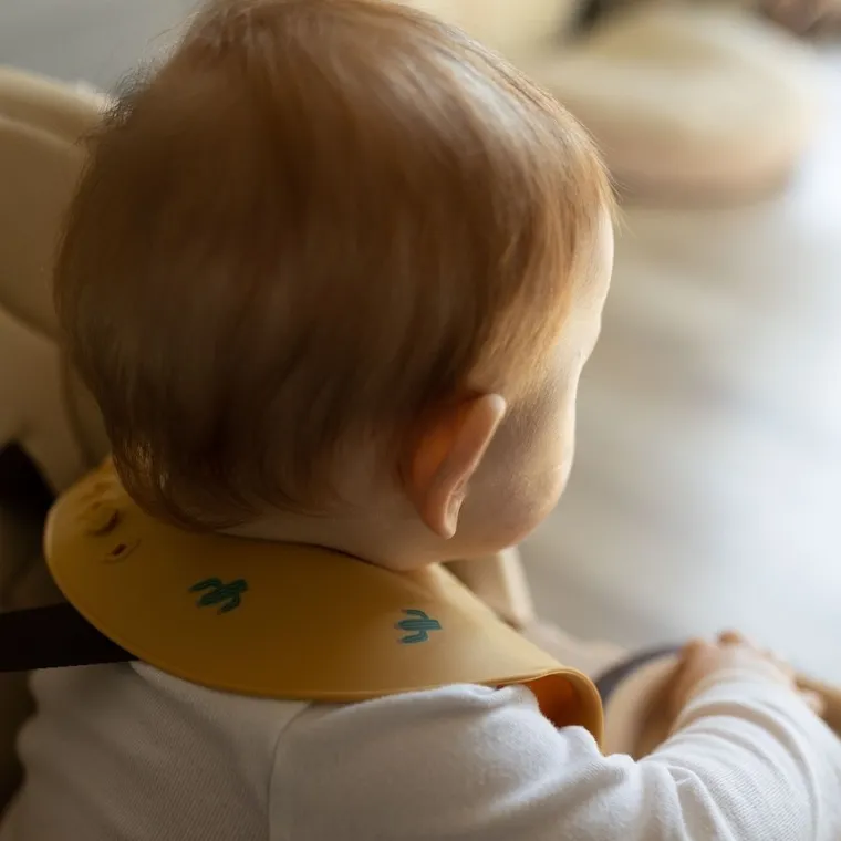 Petite&Mars, Princesses, Take&Match, silikonowy śliniak, Dusty Rose, 6m+