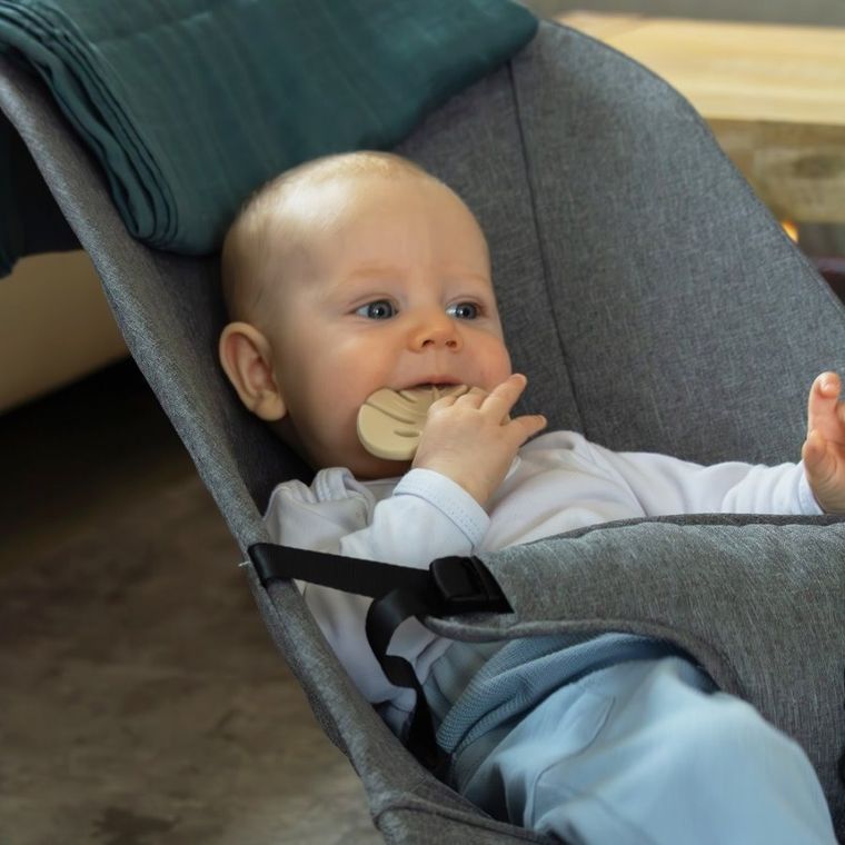 Petite&Mars, Take&Match, silikonowy gryzak, Misty Green, 6m+