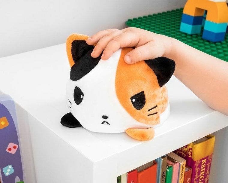 Pluszak przewrotek, kotek