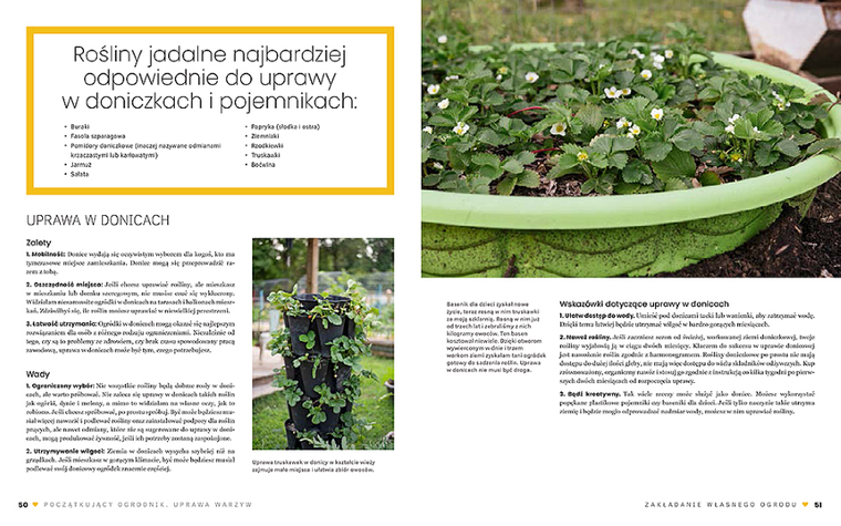 Początkujący ogrodnik. Uprawa warzyw
