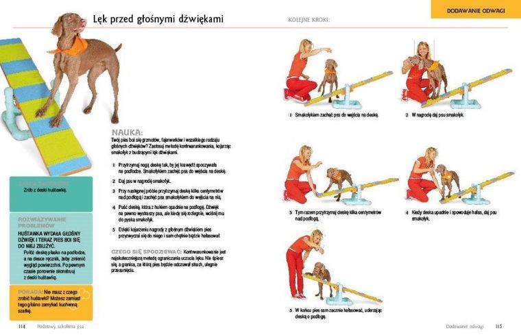Podstawy szkolenia psa
