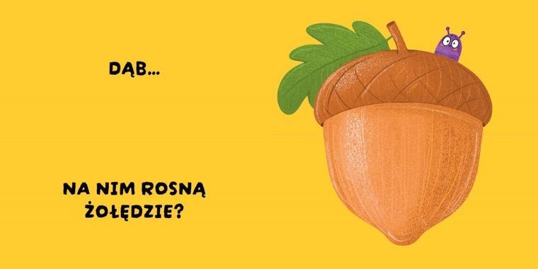 Pojazdy. Czy to pasuje?