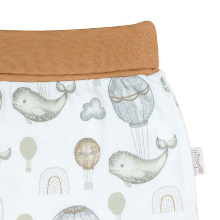 Półśpiochy chłopięce, białe, Nicol