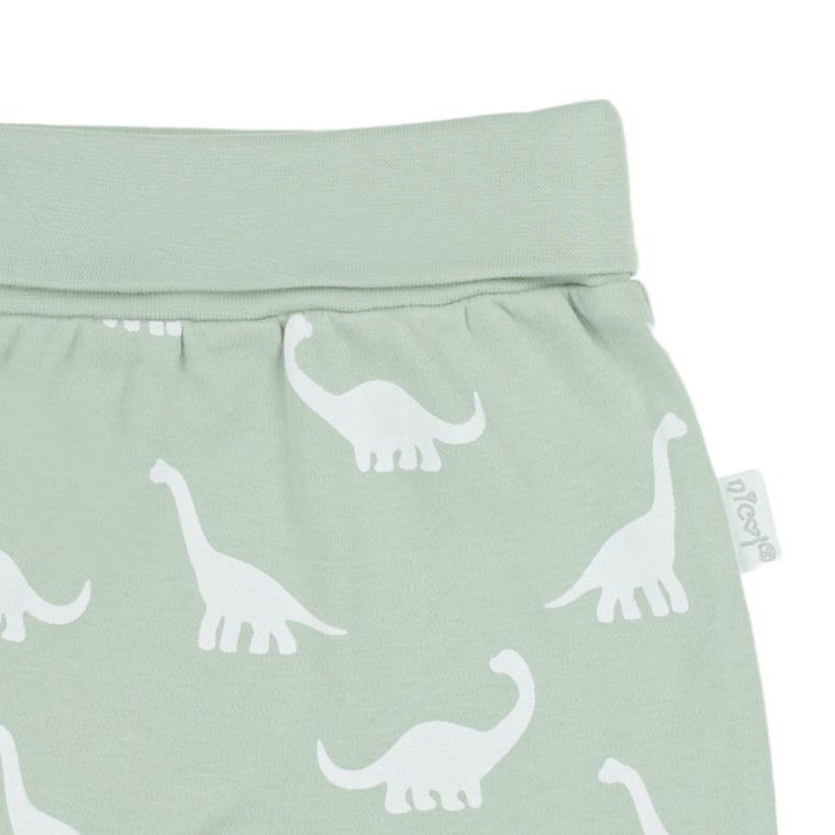 Półśpiochy chłopięce, miętowe, Nicol