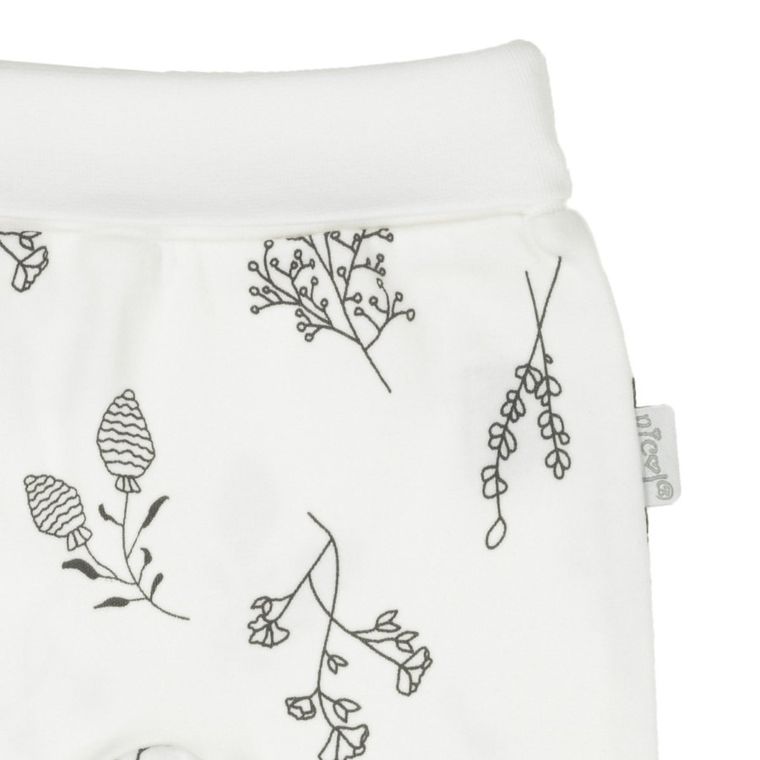 Półśpiochy dziewczęce, ecru, Nicol