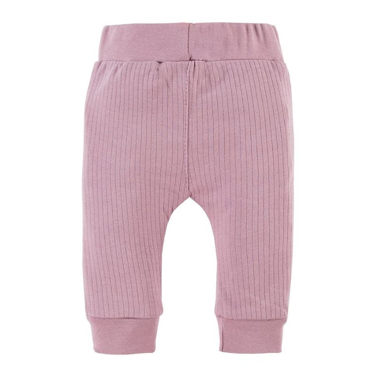 Półśpiochy dziewczęce, fioletowe, Eevi