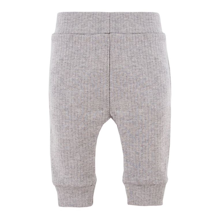 Półśpiochy niemowlęce, szare, Eevi