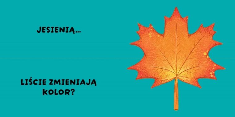 Pory roku. Czy to pasuje?