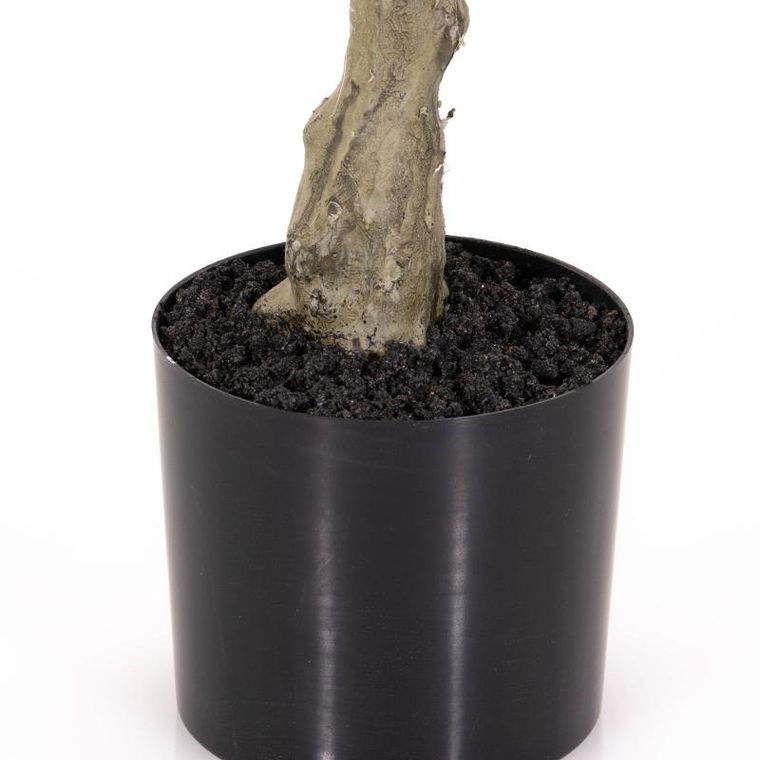 Present Time, sztuczna roślina, drzewko kauczukowe, 69 cm