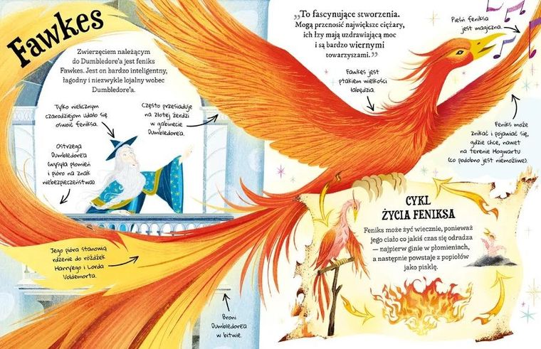 Profesor Dumbledore. Przewodnik po serii Harry Potter. Mały potterownik