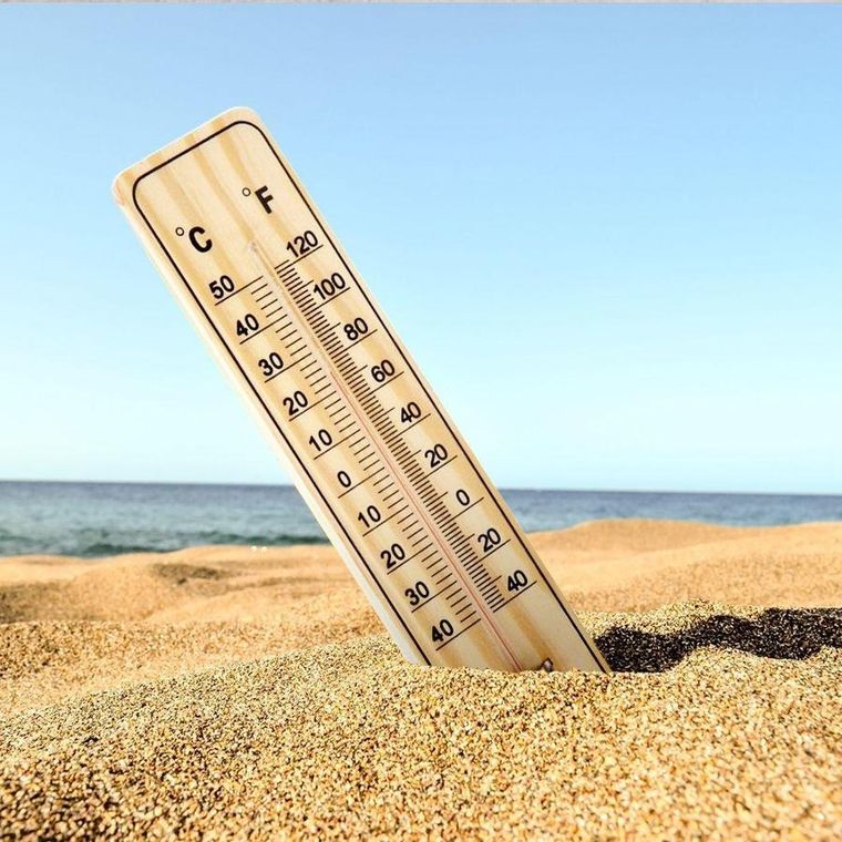 ProGarden, termometr ogrodowy, 22 cm