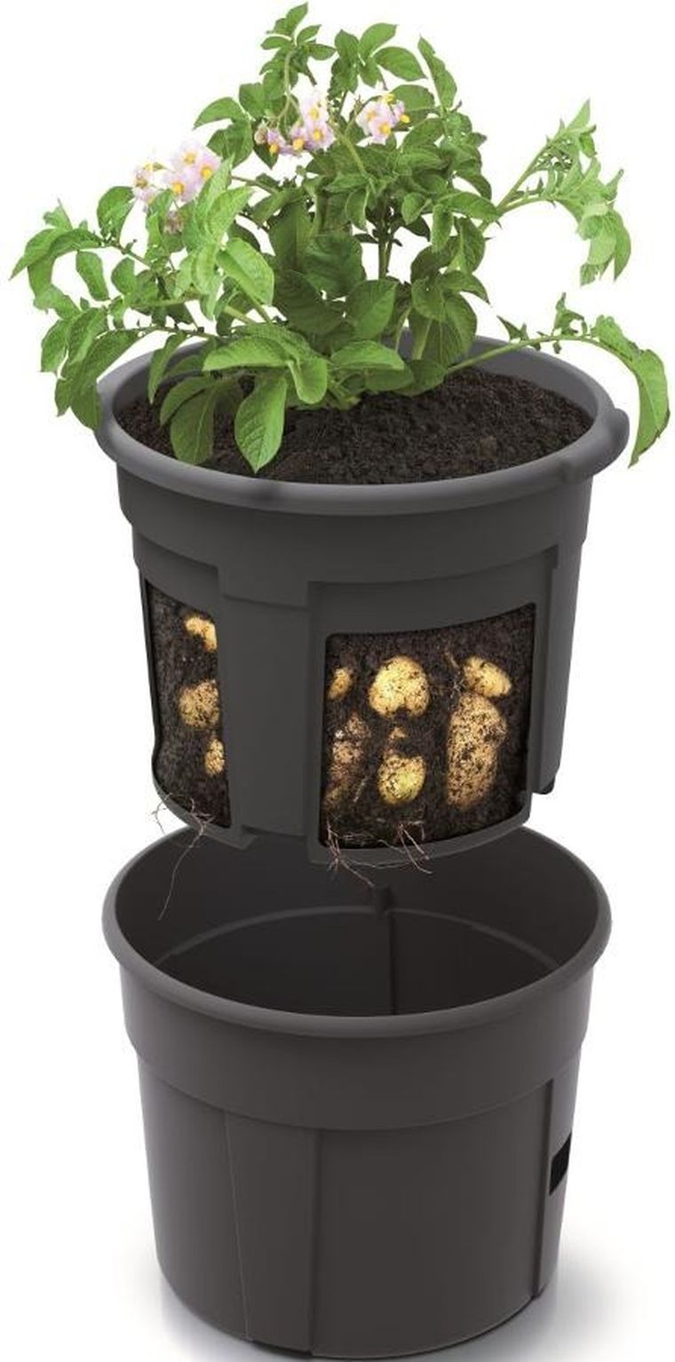 Prosperplast, doniczka do sadzenia ziemniaków, 39,2 cm