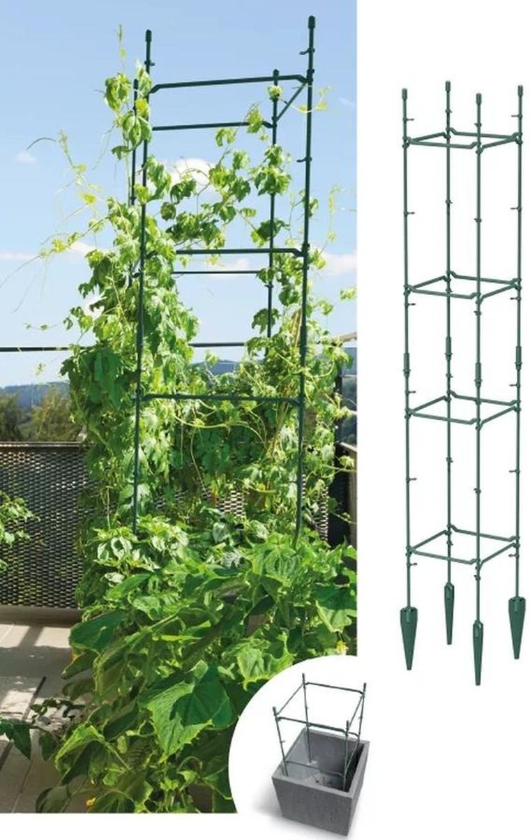 Prosperplast, Floo Supports, podpora do roślin, zielony leśny, 21-21-120 cm