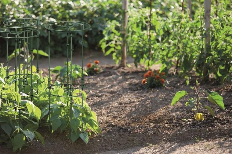 Prosperplast, Floo Supports, podpora do roślin, zielony leśny, 25/35 cm