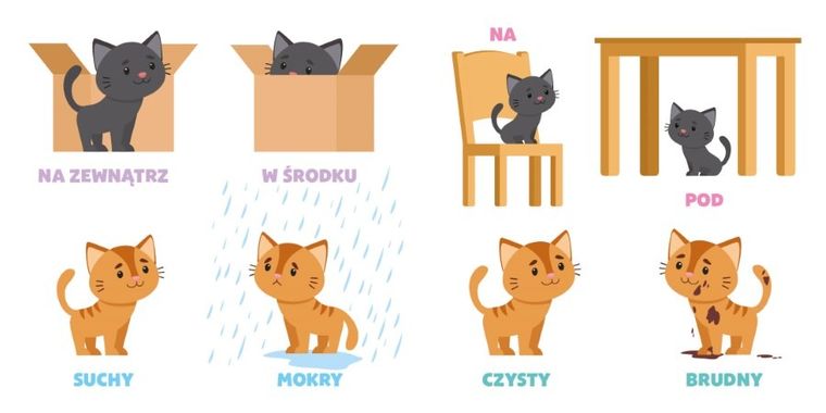 Przeciwieństwa. Maluch poznaje