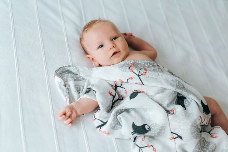 Pulp, pieluszka bambusowa z jonami srebra, ptaszki na gałązkach