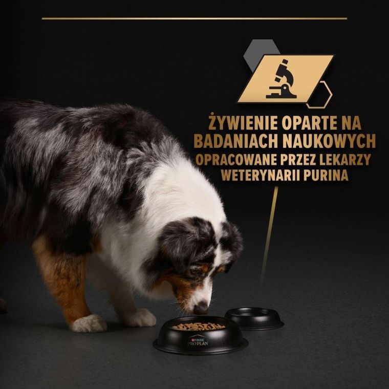 Purina, Pro Plan, Ryba w galarecie, mokra karma dla psów dorosłych, 400g