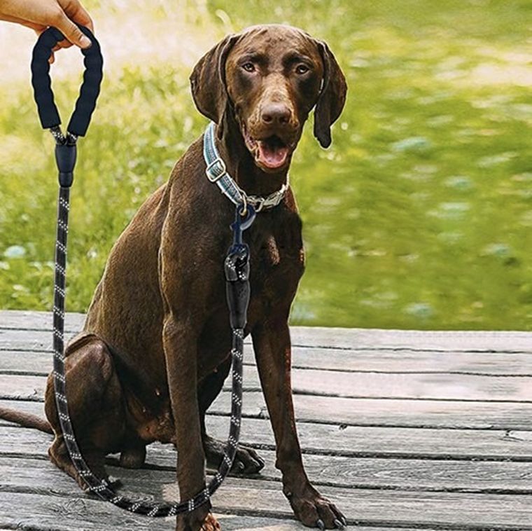 Purlov, smycz treningowa odblaskowa, 5m