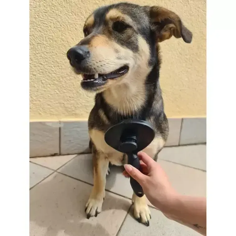 Purlov, szczotka do sierści samoczyszcząca