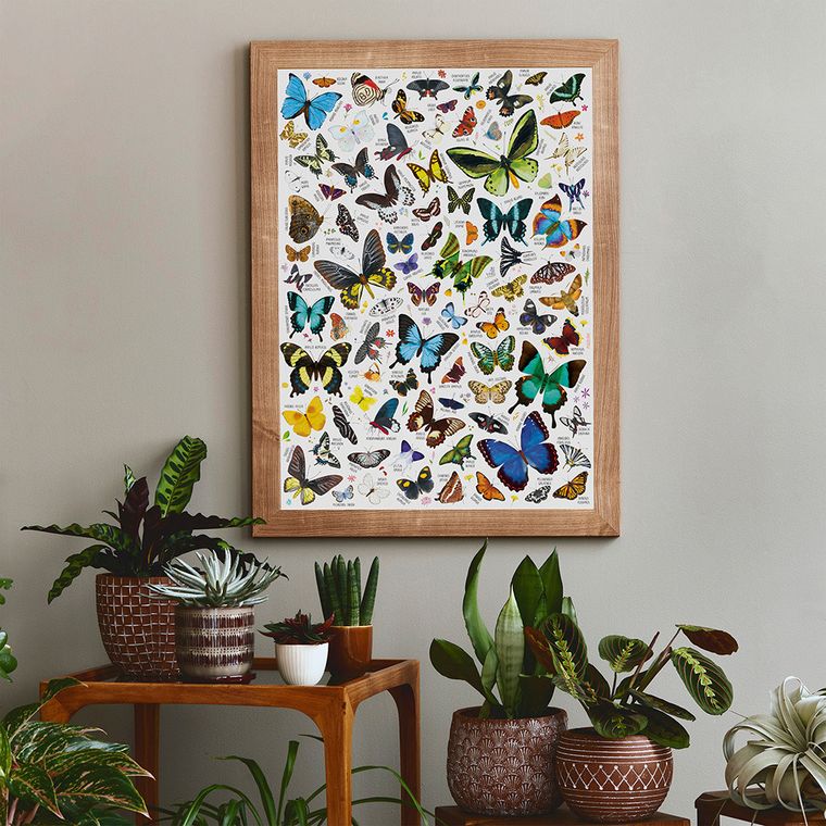 Puzzlove, CzuCzu, Motyle, puzzle, 1000 elementów