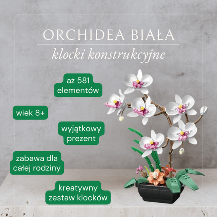 QBI, Orchidea biała, klocki konstrukcyjne, 581 elementów