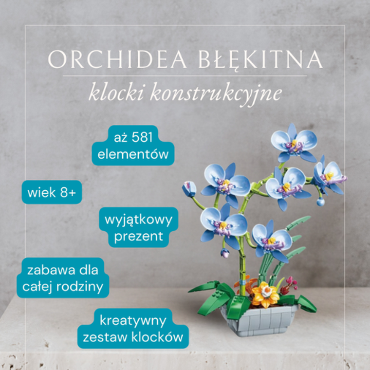 QBI, Orchidea błękitna, klocki konstrukcyjne, 581 elementów