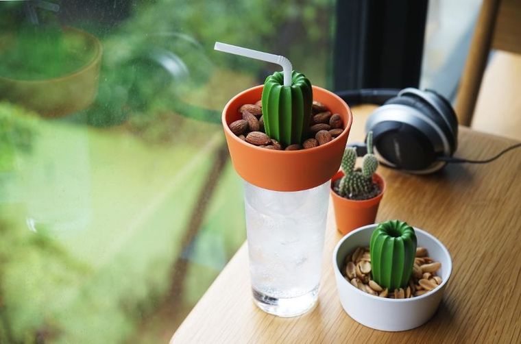 Qualy, Cacnuts, miseczka na przekąski, pomarańczowo-zielona