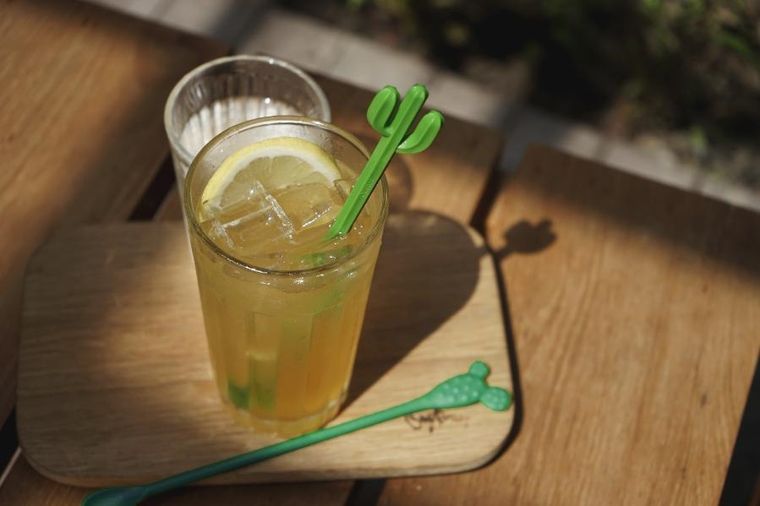 Qualy, Cactus, mieszadełko, zielone