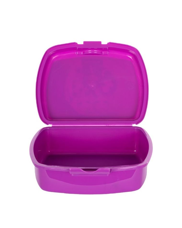 Rainbow High, lunchbox