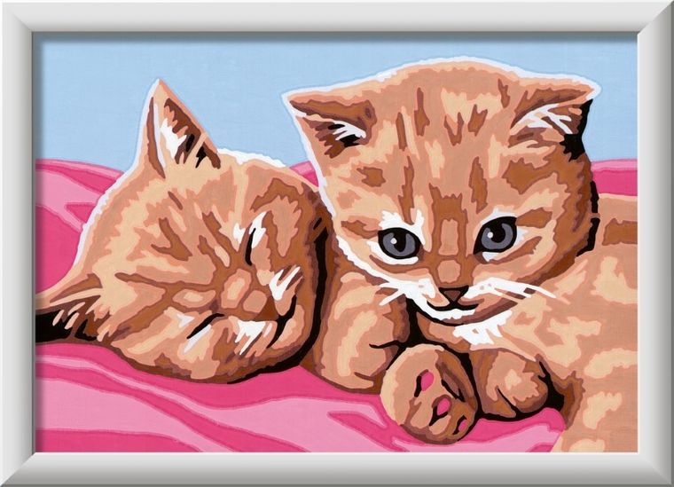 Ravensburger, CreArt, Rude kocięta, malowanie po numerach