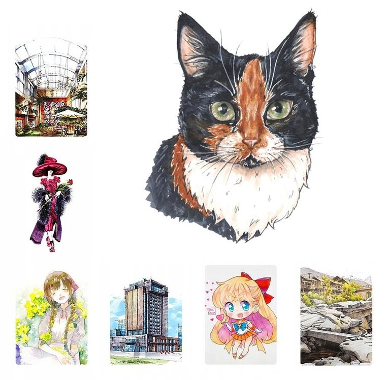 Rawmark, Purepro, zestaw 262 markerów