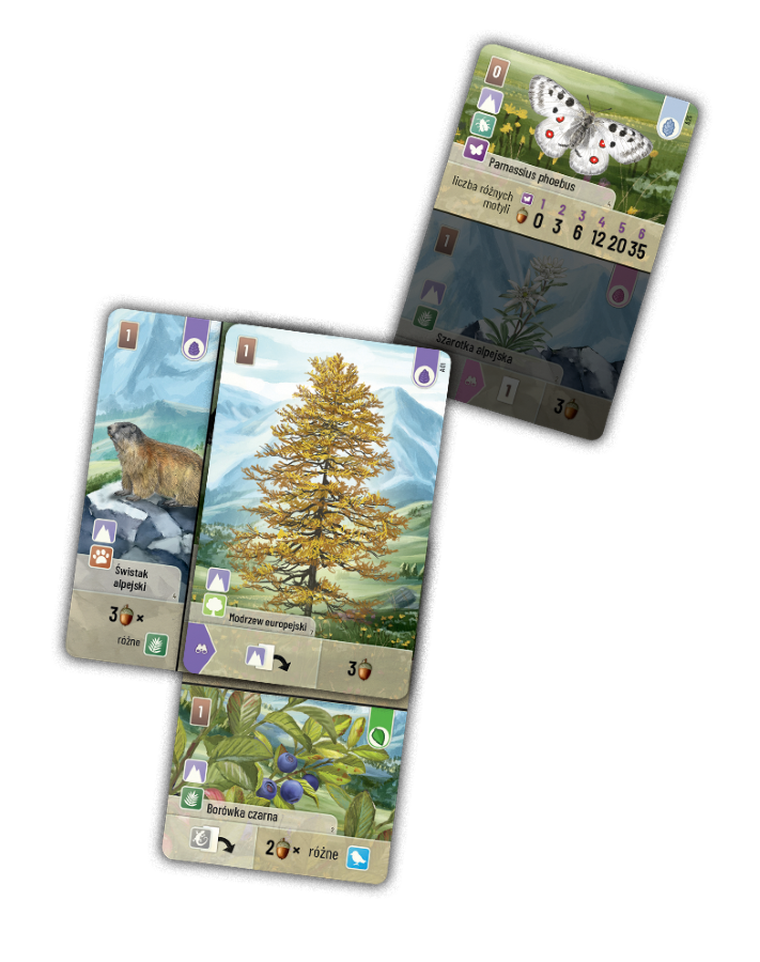 Rebel, Leśne rozdanie: Alpy, dodatek do gry