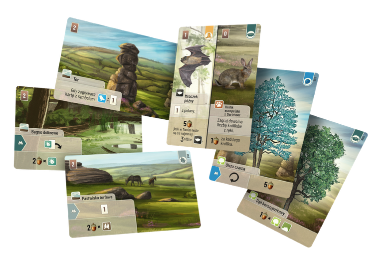 Rebel, Leśne rozdanie: Dartmoor, gra strategiczna