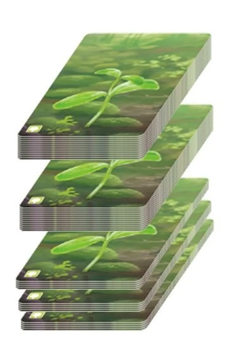 Rebel, Leśne rozdanie, gra strategiczna